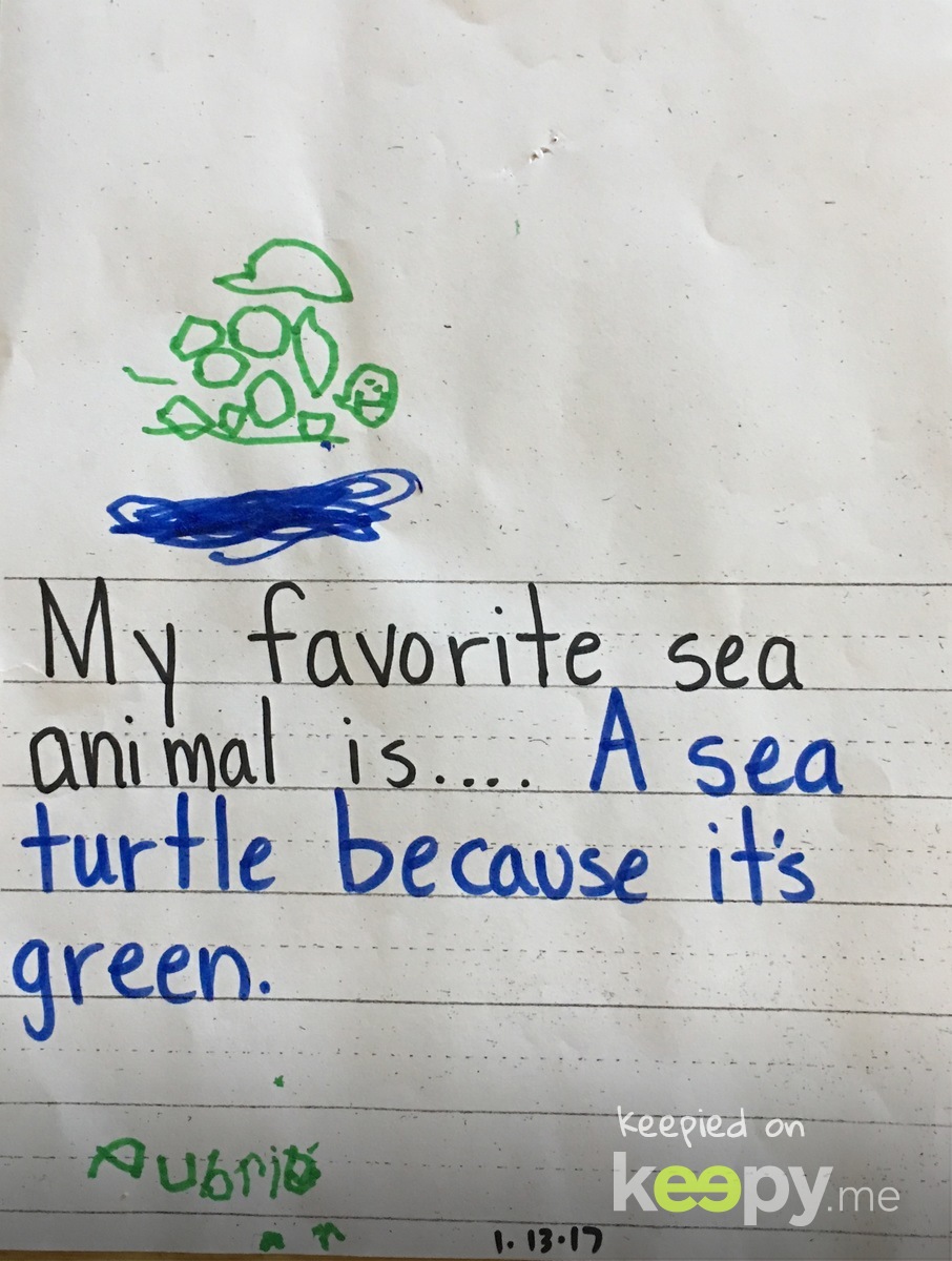 My Favorite Sea Animal » Keepy.me