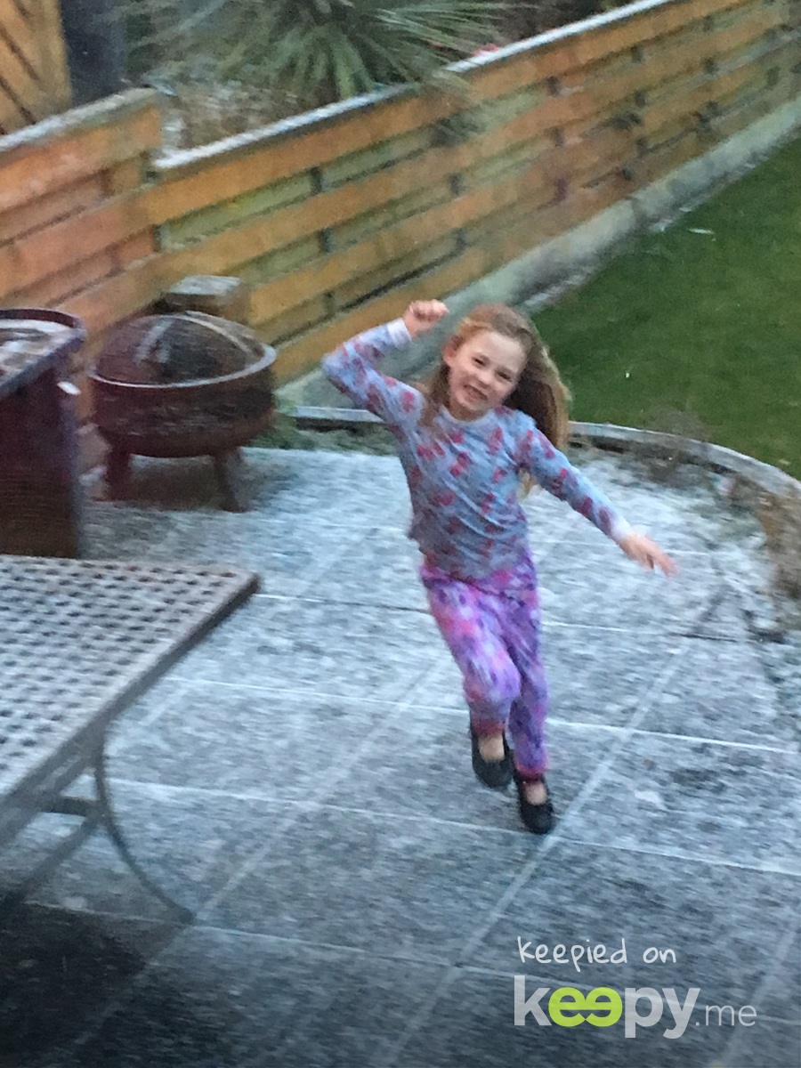 Phoebes first proper snow day  » Keepy.me